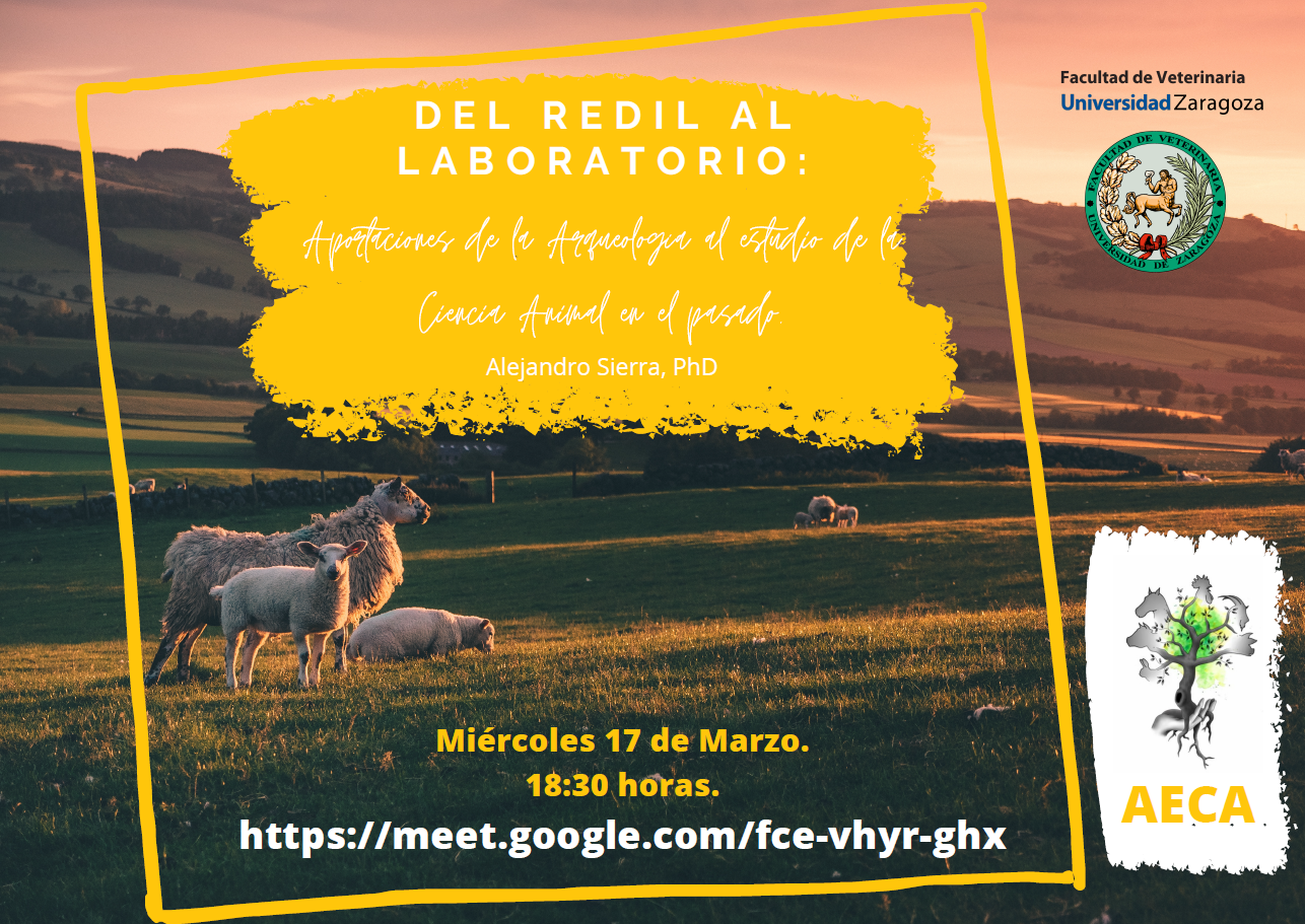 Conferencia: “Del Redil al Laboratorio: Aportaciones de la Arqueología ...