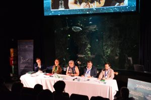 Mesa de inauguración de las jornadas. Turno de palabra de Pilar Gayán, directora general de Ciencia y Universidades del Gobierno de Aragón.